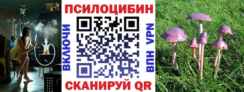 Галлюциногенные грибы Cubensis  что такое   Гремячинск 